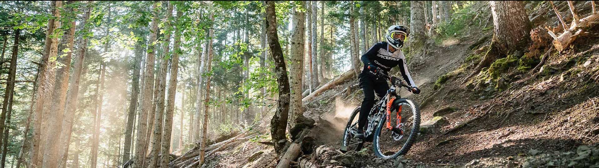 Mountain Bikes: Orbea Rallon
