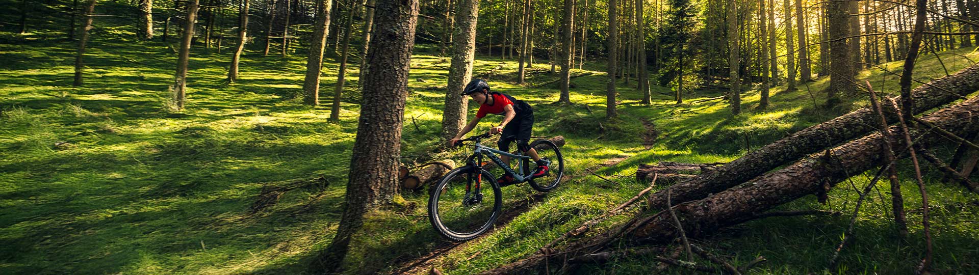 Mountain Bikes: Orbea Laufey