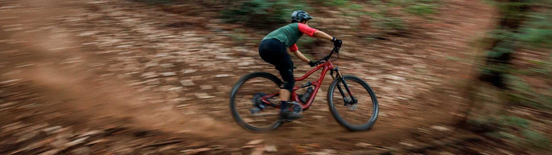 Mountain Bikes: Ibis Ripley