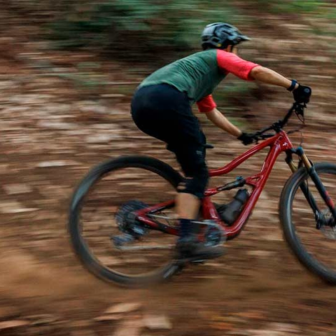 Mountain Bikes: Ibis Ripley