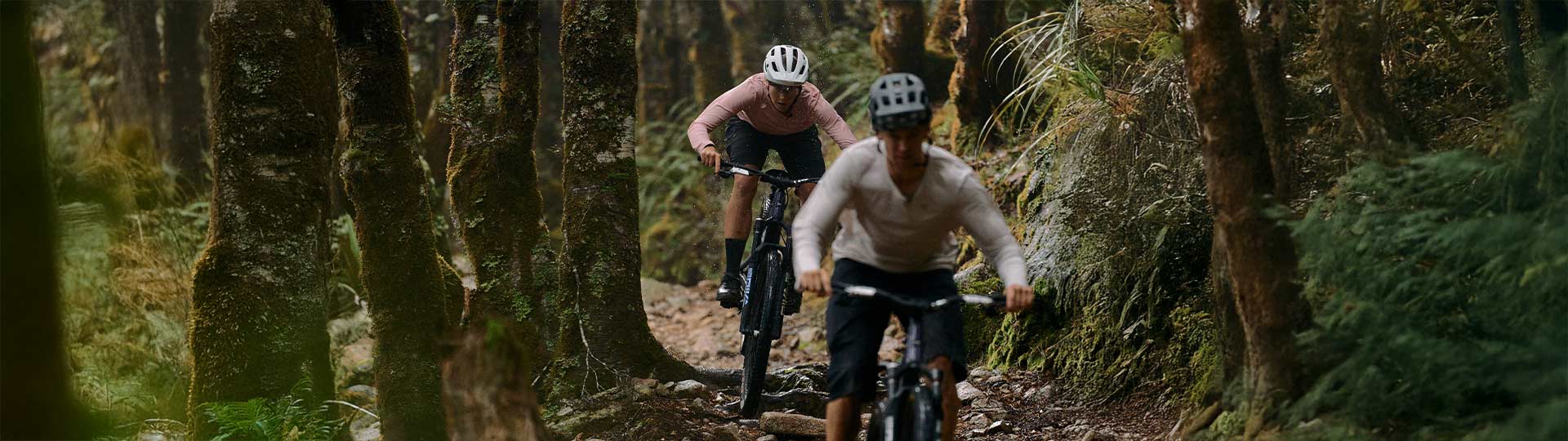 Mountain Bikes: Santa Cruz Tallboy