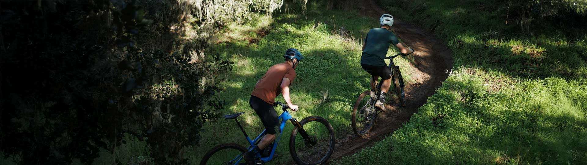 Mountain Bikes: Ibis Ripley