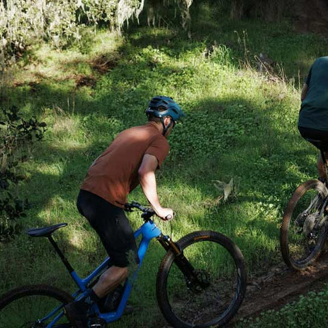 Mountain Bikes: Ibis Ripley