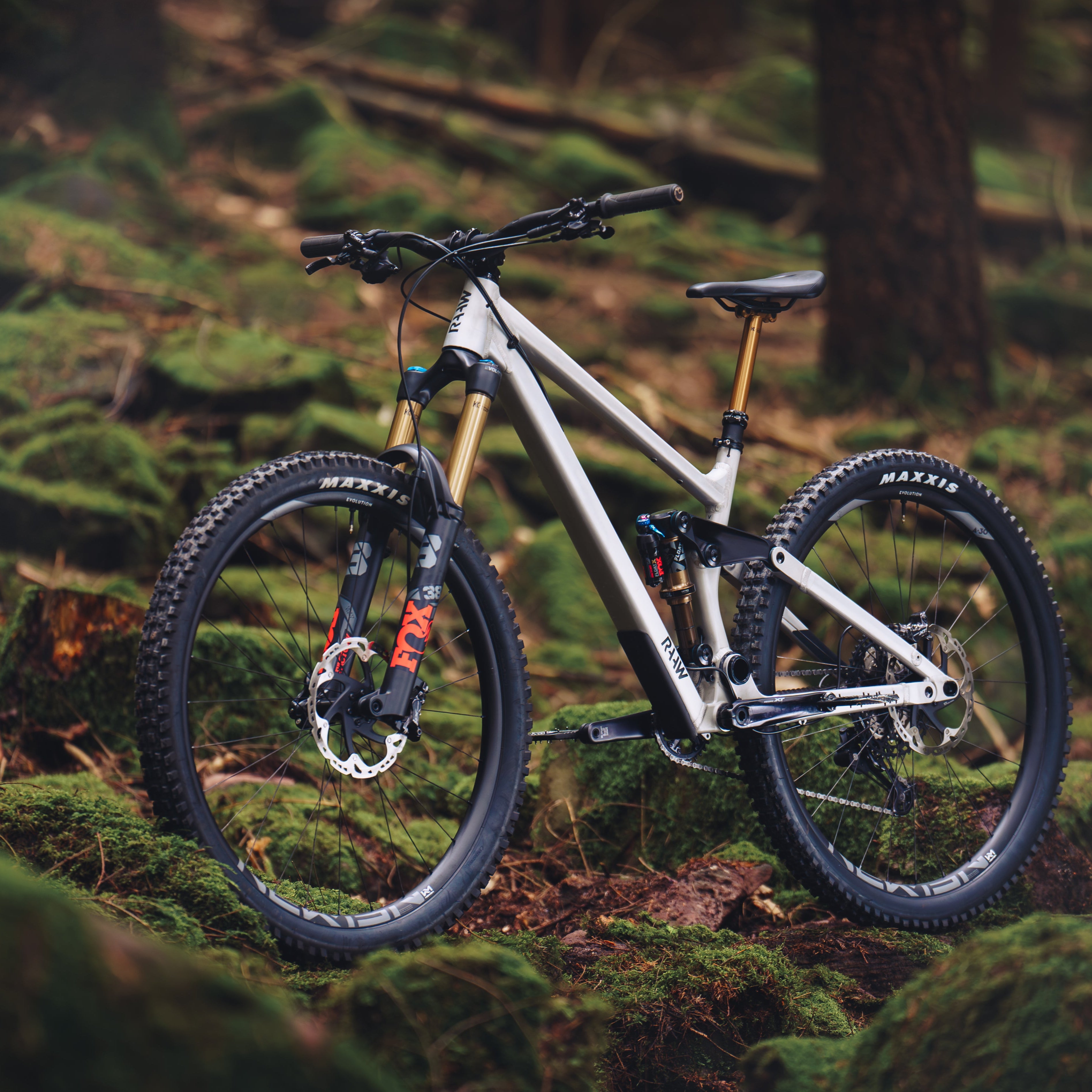 Mountain Bikes: RAAW– Sunshine Bicycle Center