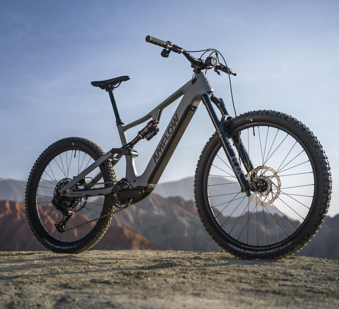 Amflow PR Carbon ⚡️ - INFO– Sunshine Bicycle Center