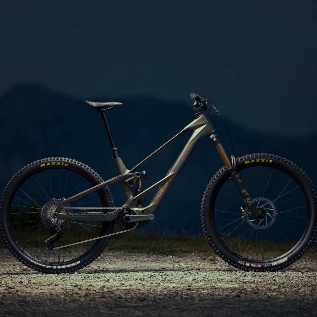 Orbea Wild LT